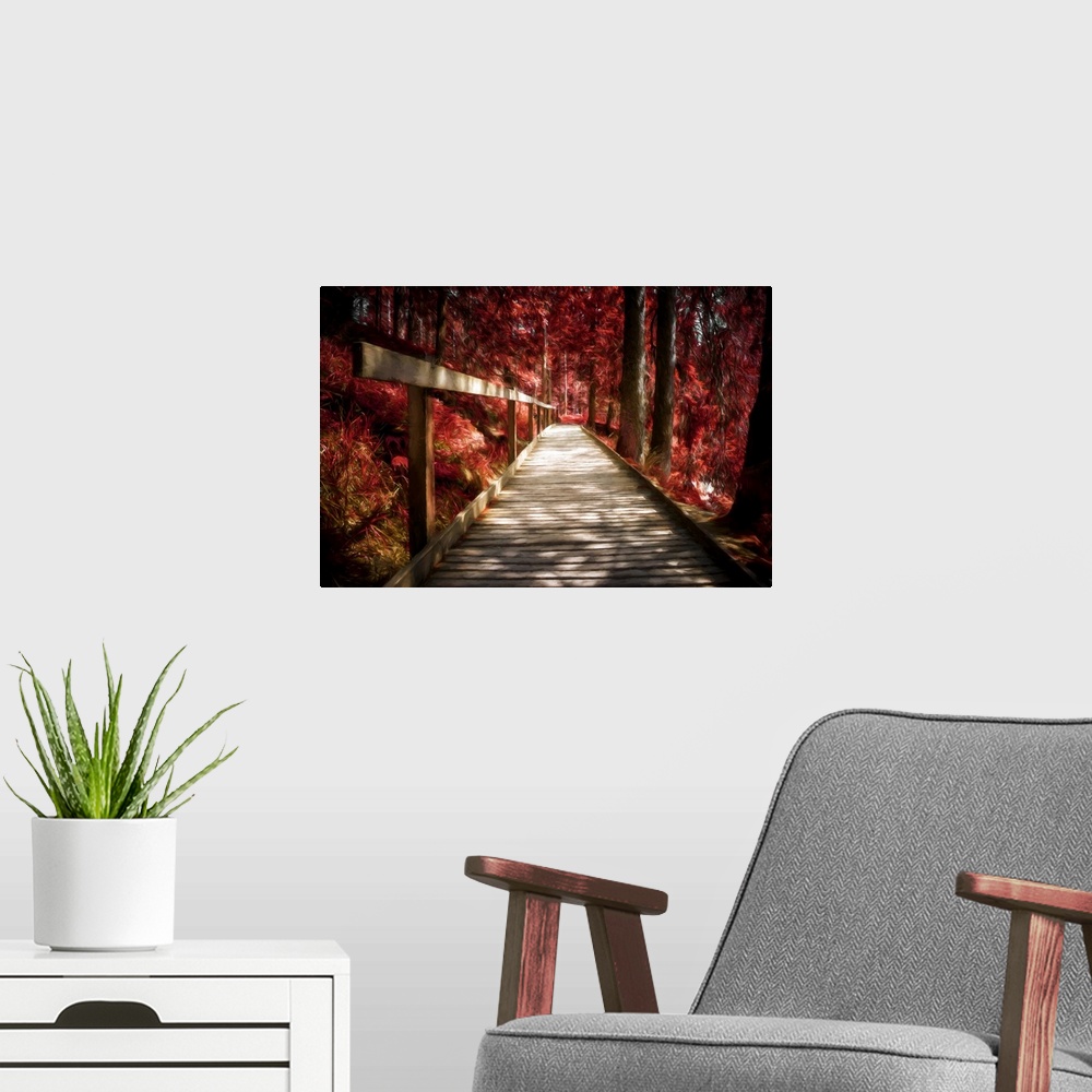 A modern room featuring Photo Expressionism -Wooden path in a red autumn forest.