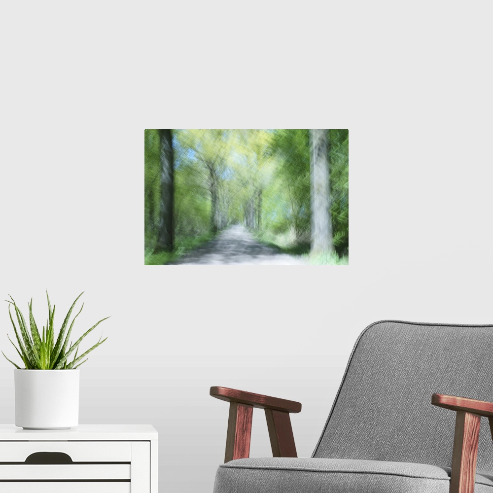A modern room featuring Artistically blurred photo. A bright sunny spring day in a forest in near the city of Nijmegen, T...
