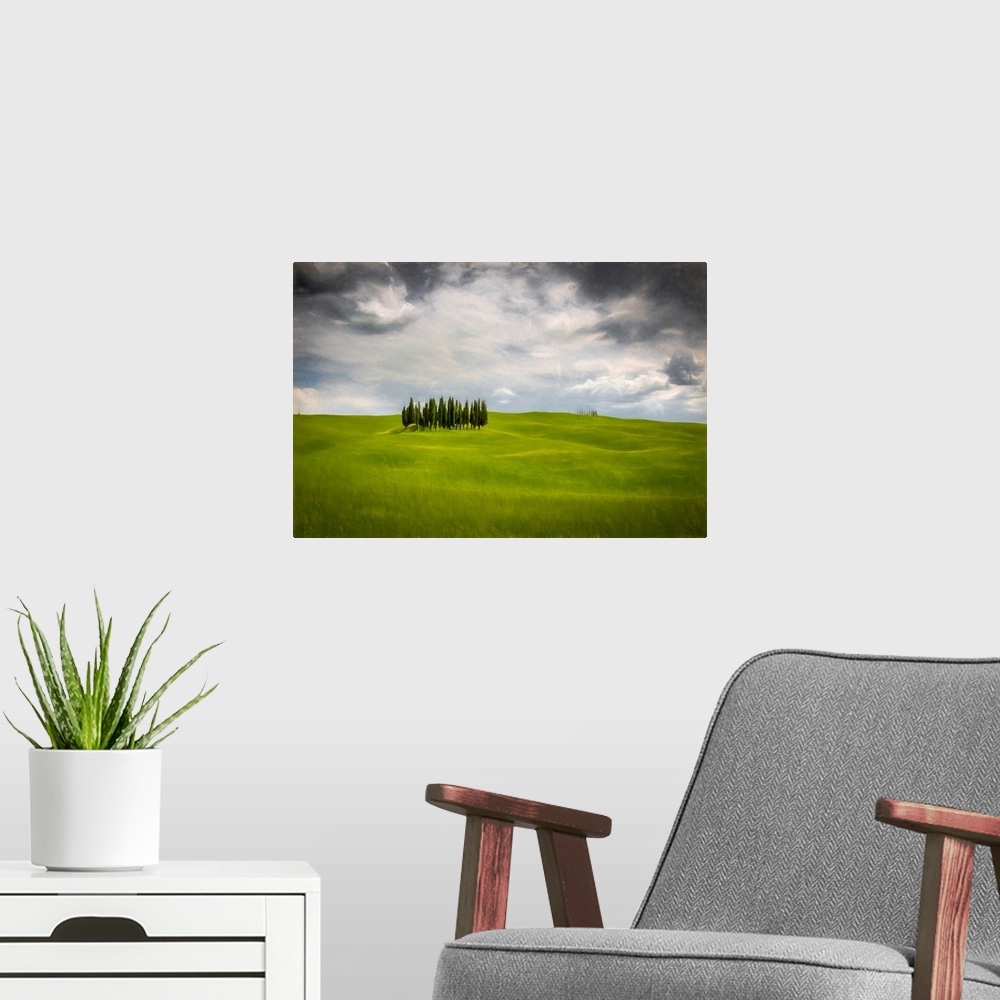 A modern room featuring Fine art photo of a small group of trees on a hilly landscape under a cloudy sky.