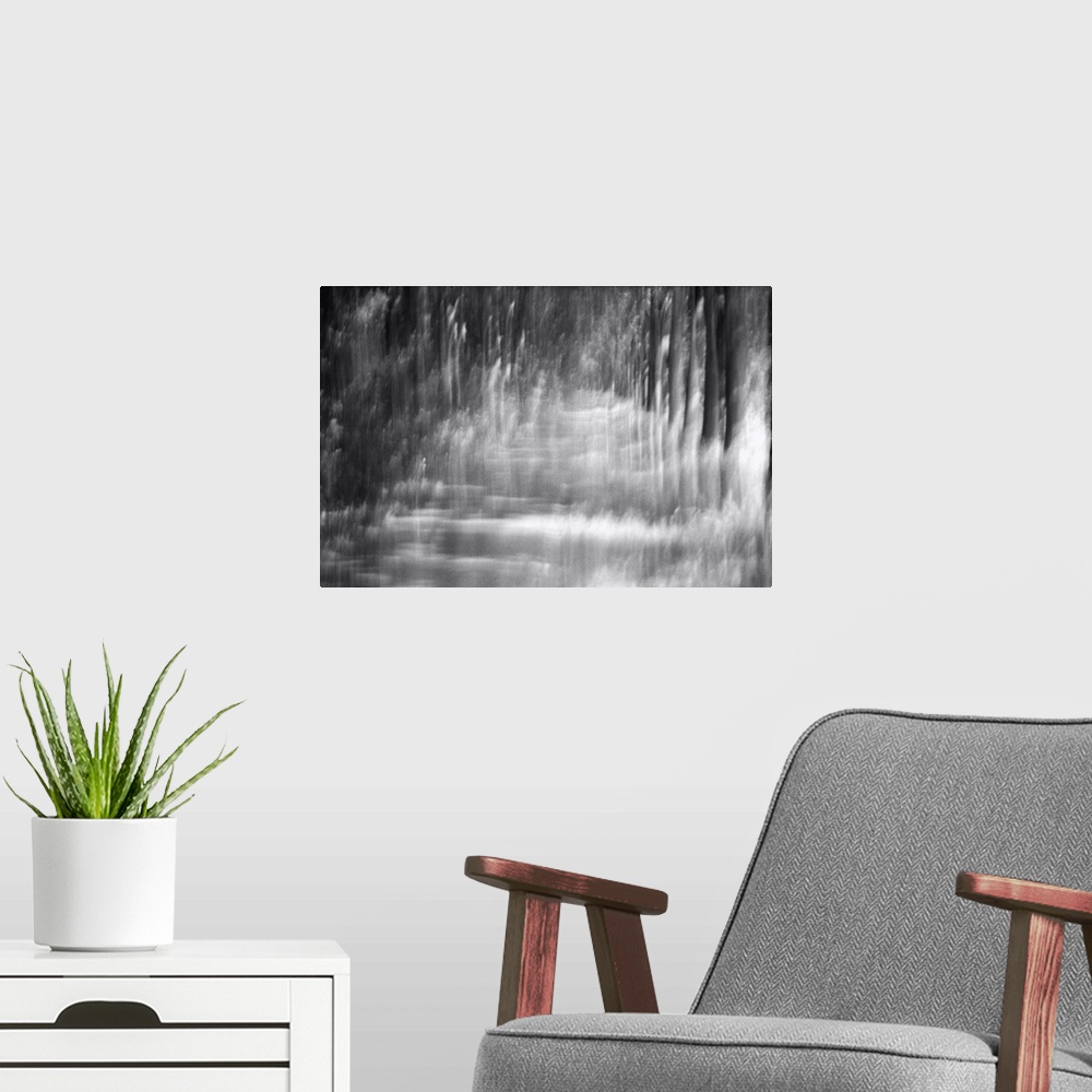 A modern room featuring Artistically blurred photo. Early in the morning on a sunny autumn day in a forest in near the ci...