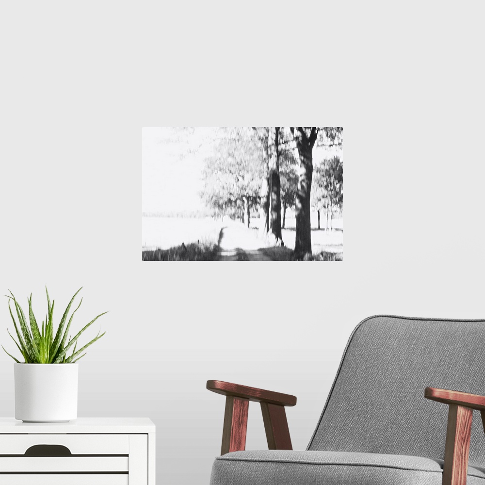 A modern room featuring Artistically blurred photo. At the edge of a forest near the City of Nijmegen, The Netherlands. A...