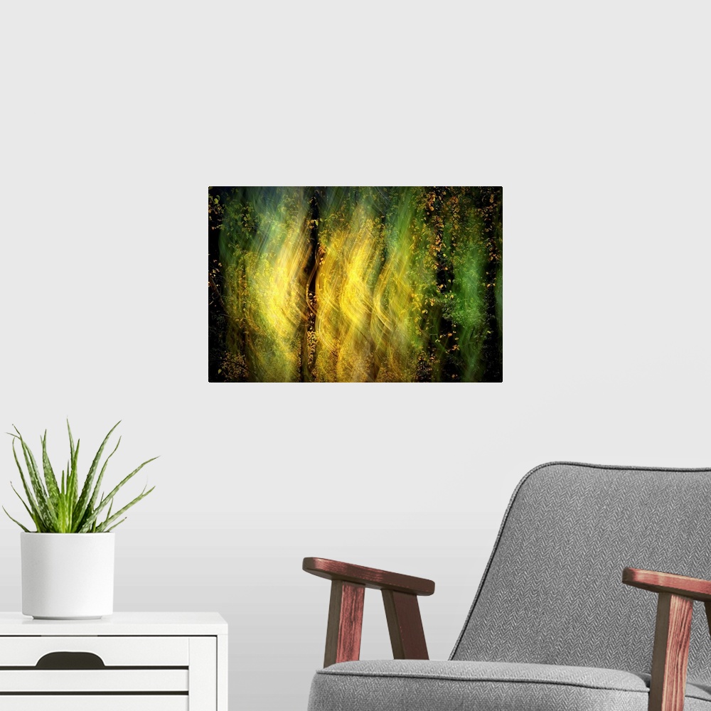 A modern room featuring Abstract blurred image of light shining through the trees in a forest.