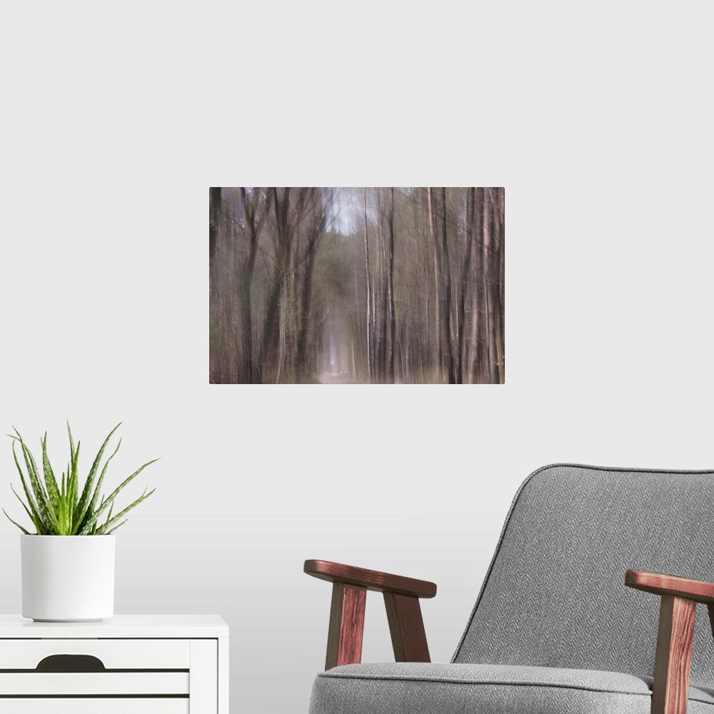 A modern room featuring Artistically blurred photo. Trees catch the sunbeams when they fall from heaven.