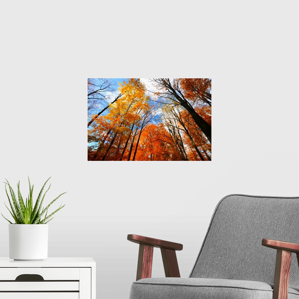 A modern room featuring Trees against the sky with a expressionist photo effect
