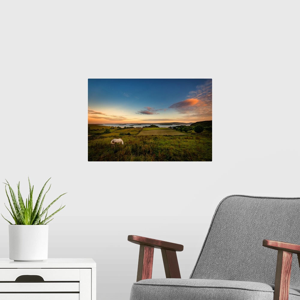 A modern room featuring Sunset over Irish nature with a white horse in the foreground