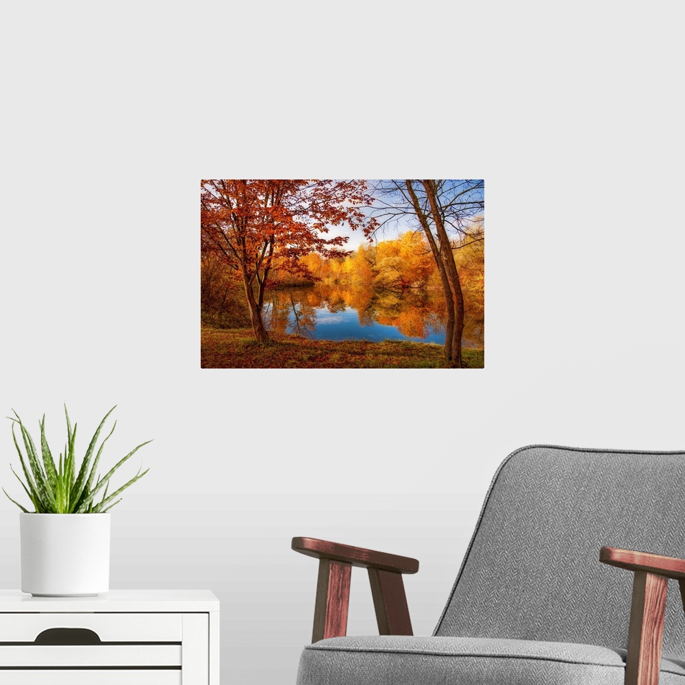 A modern room featuring A pond in front of a forest in autumn with trees in the foreground