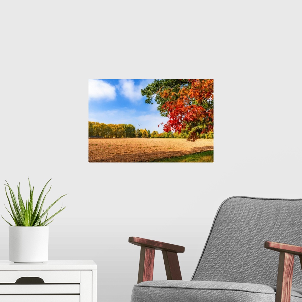 A modern room featuring Beautiful autumn day in the countryside