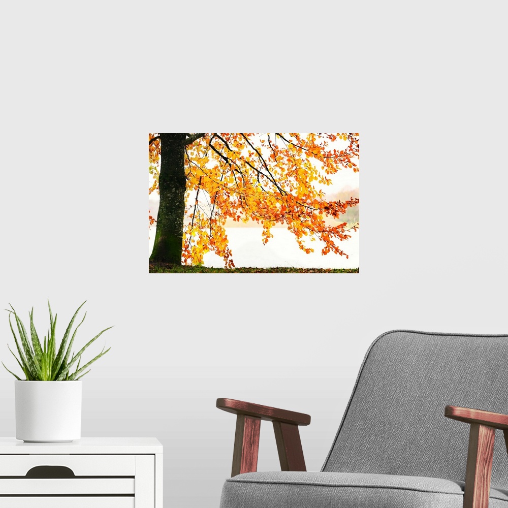 A modern room featuring Orange leaves in autumn