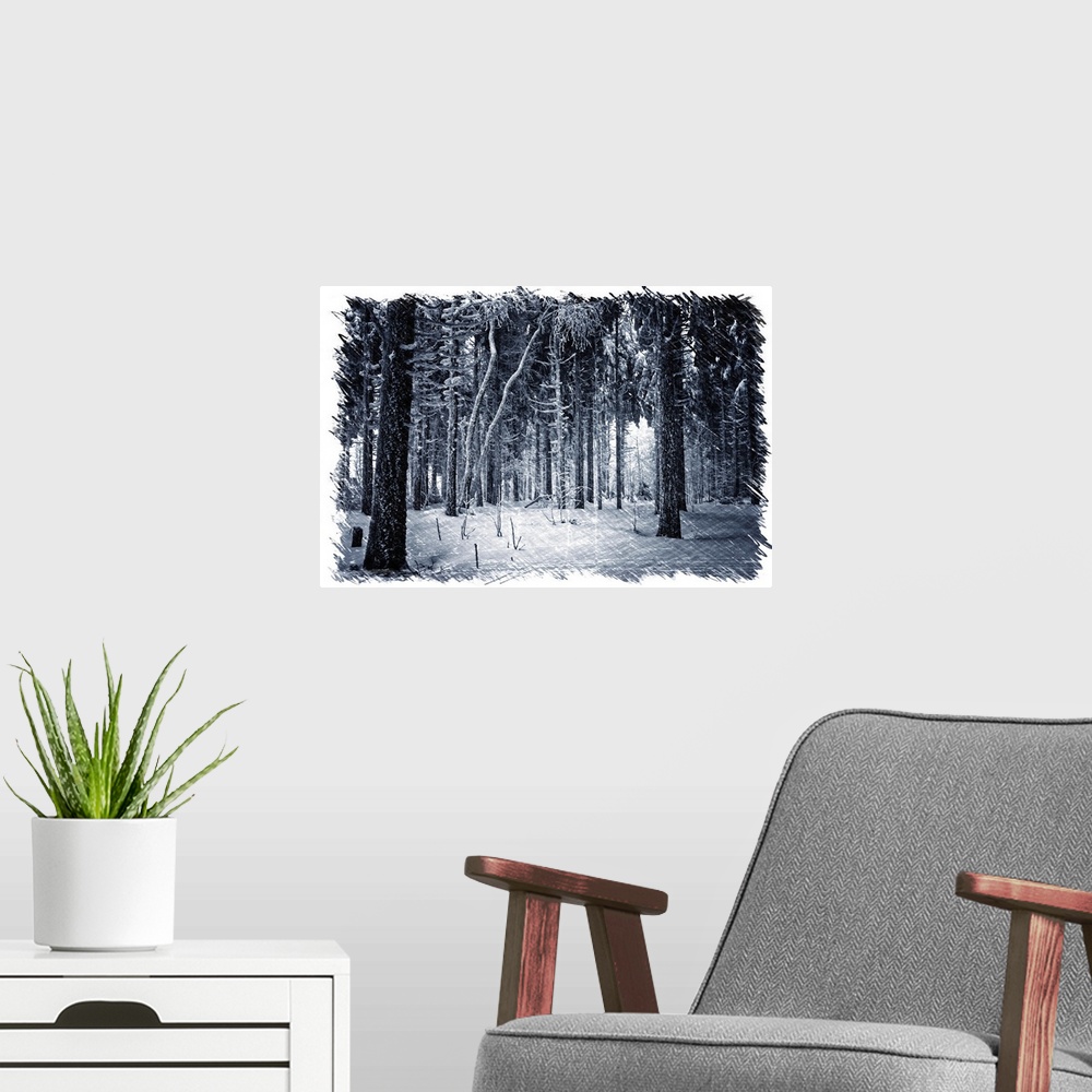 A modern room featuring Interior of a winter forest with a drawing effect