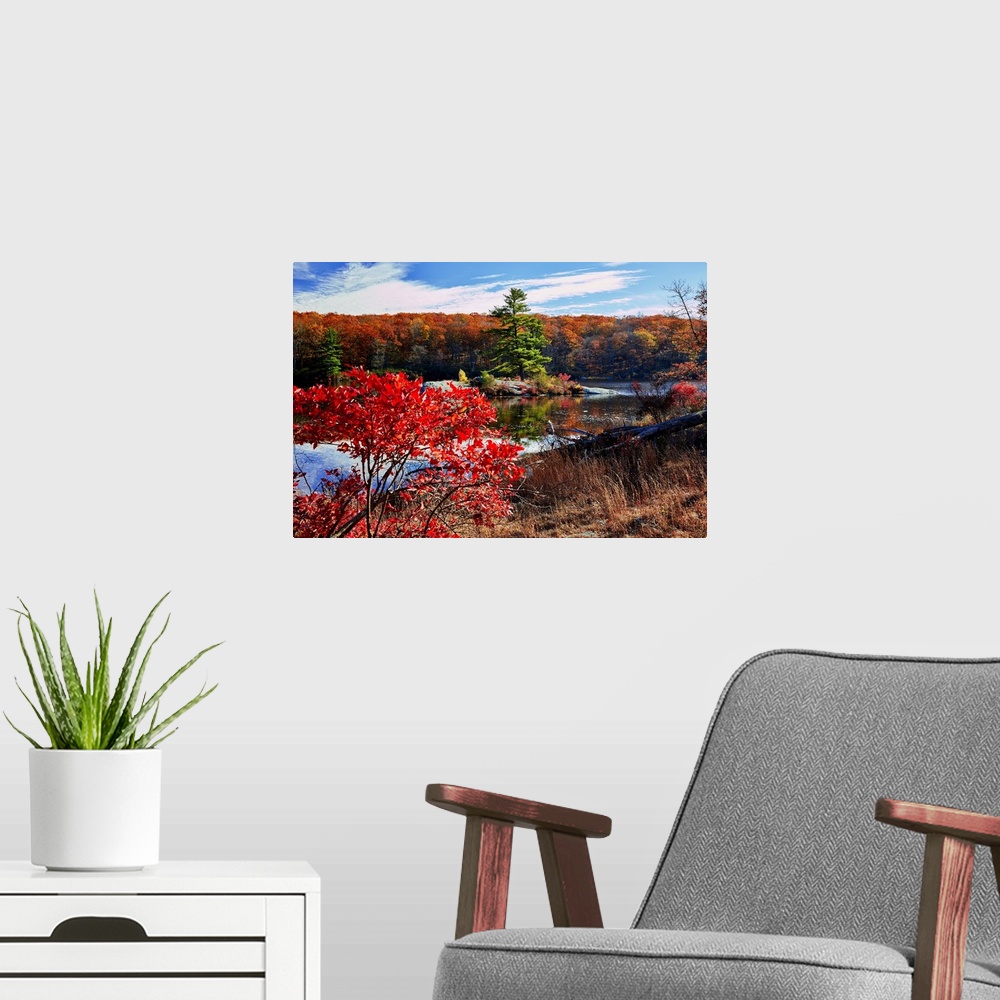 A modern room featuring Little island in a lake during fall, Harriman State Park, New York.