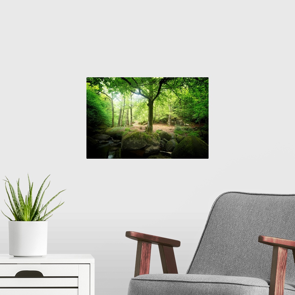 A modern room featuring Huelgoat forest in Brittany with  green trees around the silver river in the place called the chaos