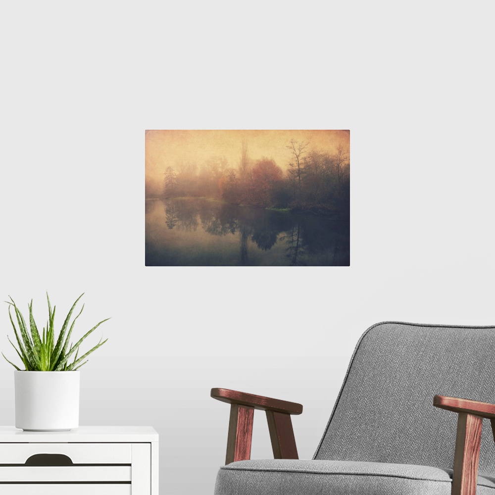 A modern room featuring Forest by a river with added photo texture