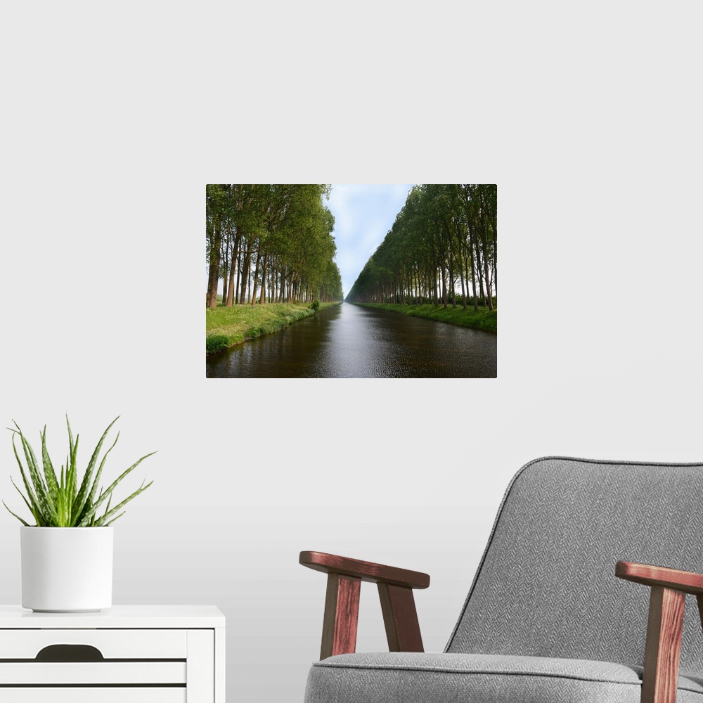 A modern room featuring Tree lined canals near Damme in Belgium.