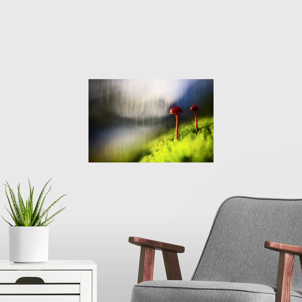 A modern room featuring Dreamlike photograph of two mushrooms with long skinny stems, standing next to each other in the ...