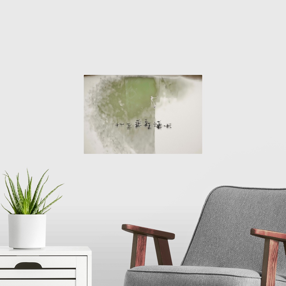 A modern room featuring Conceptual photograph of plants reflecting on to still waters with an abstract background in gree...