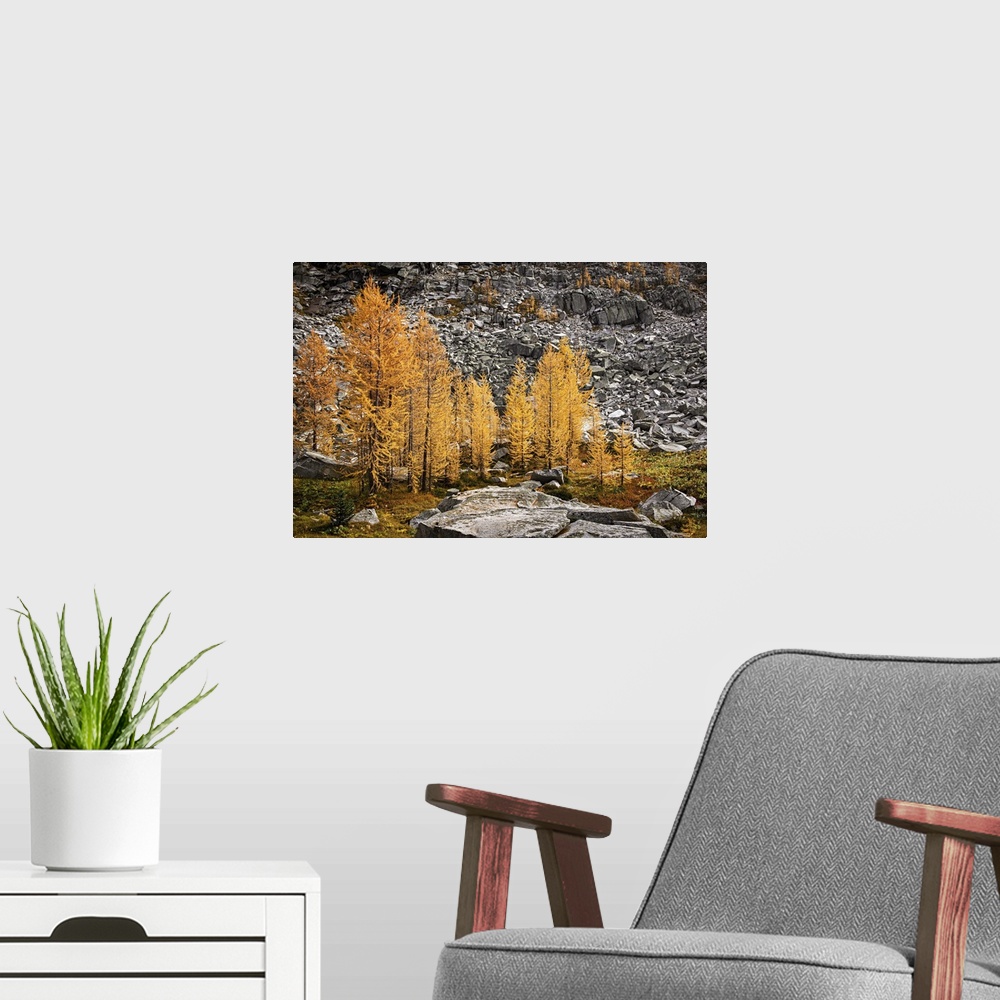 A modern room featuring Alpine larches close to a slide on a warm autumn afternoon in the mountains.