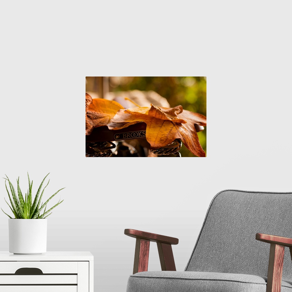 A modern room featuring Fine art photo of fallen autumn leaves lying on a bicycle seat.