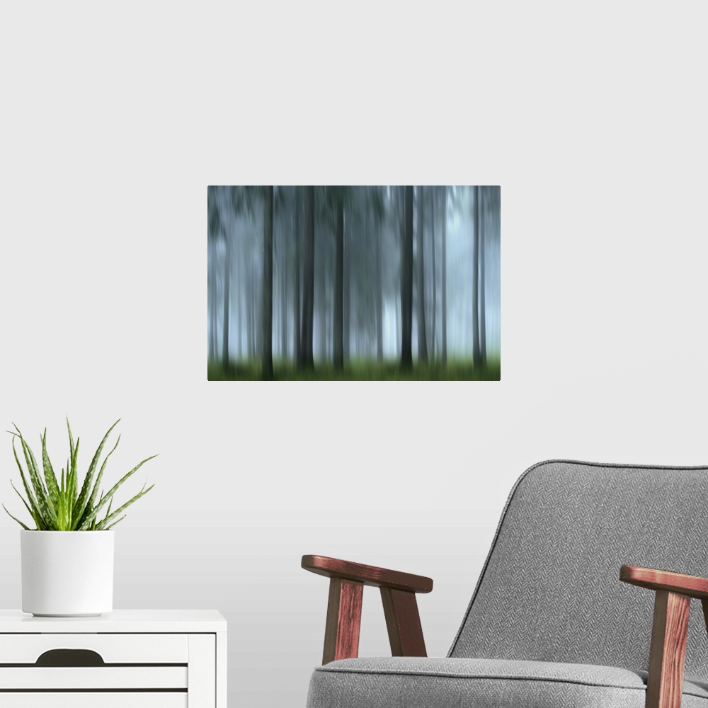 A modern room featuring It's still early in the quiet foggy forest. The new day seems to hesitate to start, so as not to ...