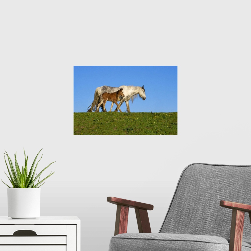 A modern room featuring Mother and Foal
