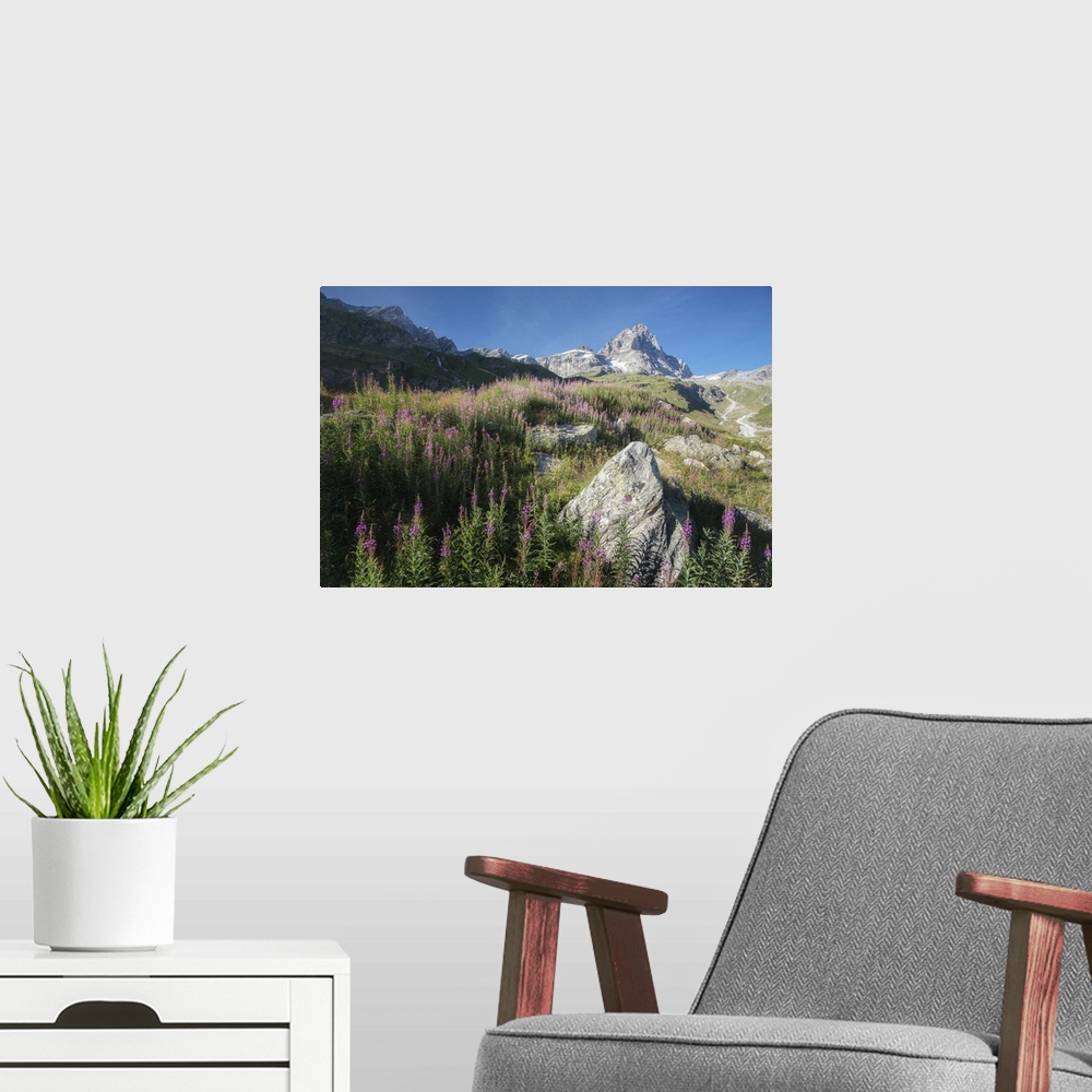 A modern room featuring A rocky mountain on the horizon seen from a field with wildflowers.