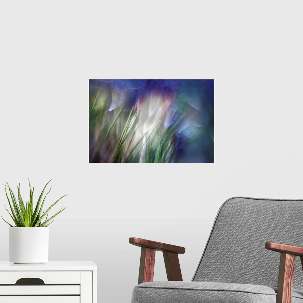 A modern room featuring Close up abstract photography of blurry stems of grass.