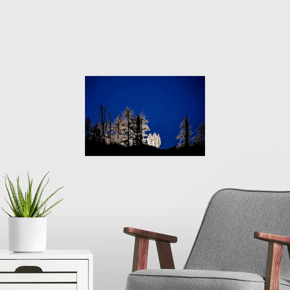 A modern room featuring A photo of a line of trees that have a glow outline against a dark blue sky.