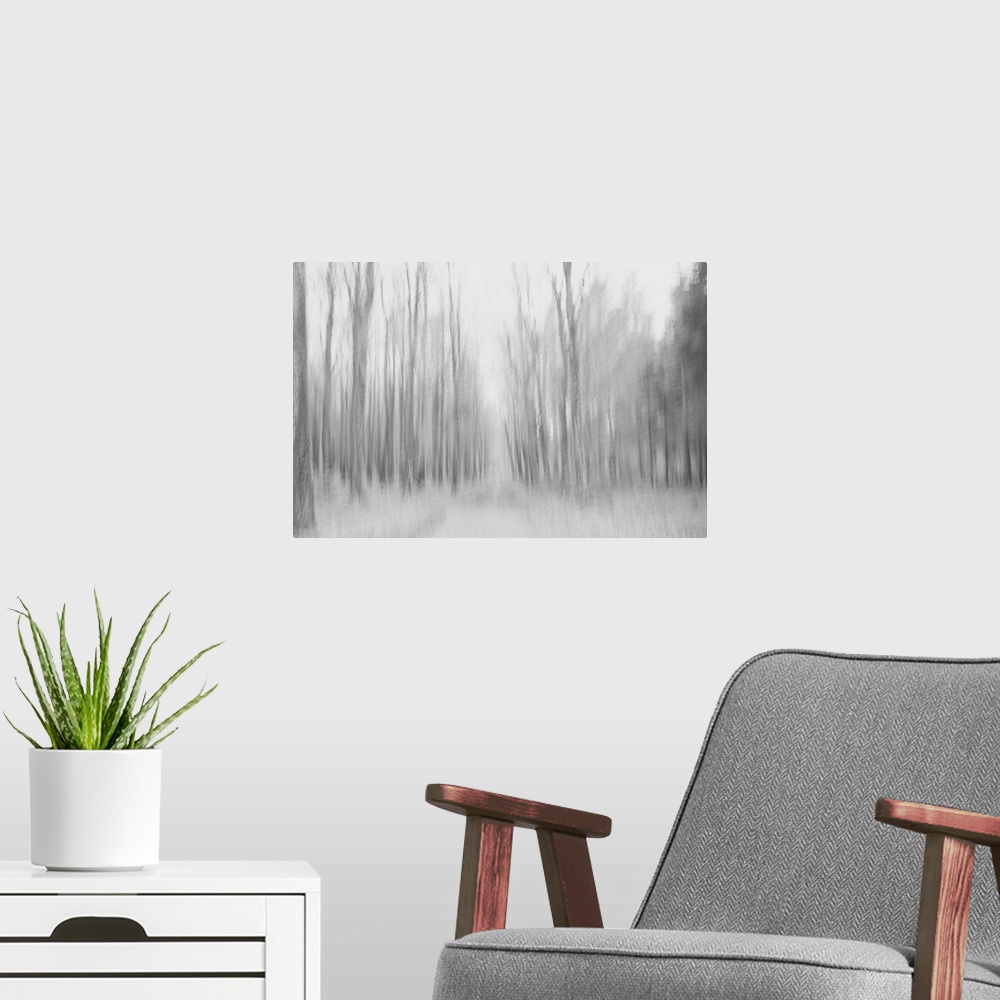 A modern room featuring Artistically blurred photo. The silence of a pine forest on a gray winter day.
