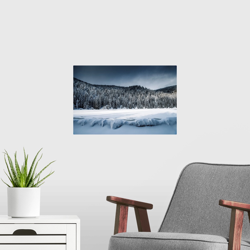 A modern room featuring Winter landscape around a frozen lake and snow-covered fir trees