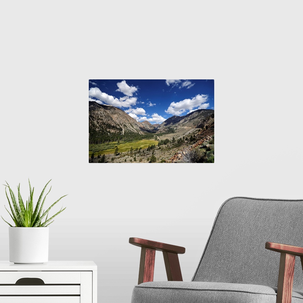 A modern room featuring Summer landscape in Yosemite