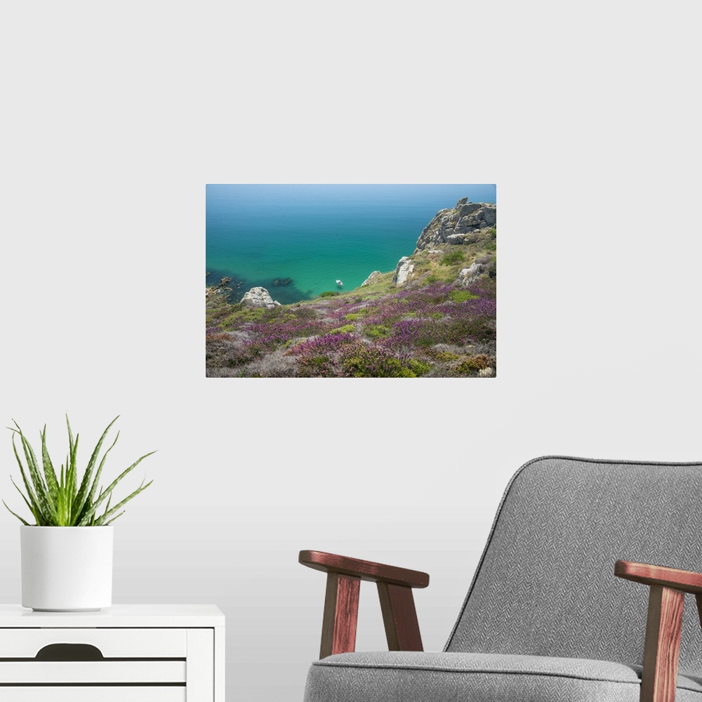A modern room featuring Wildflowers on a cliff overlooking a turquoise sea.