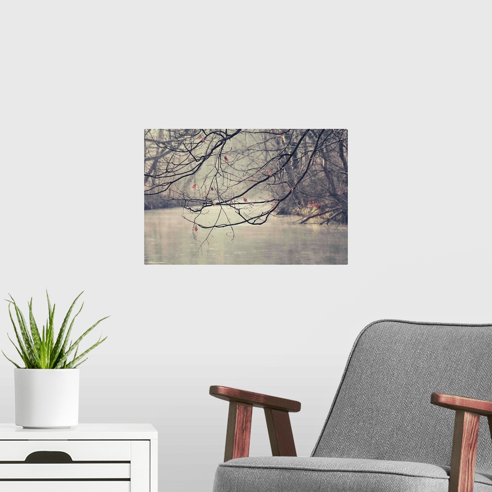 A modern room featuring Stream in winter with branches in the foreground