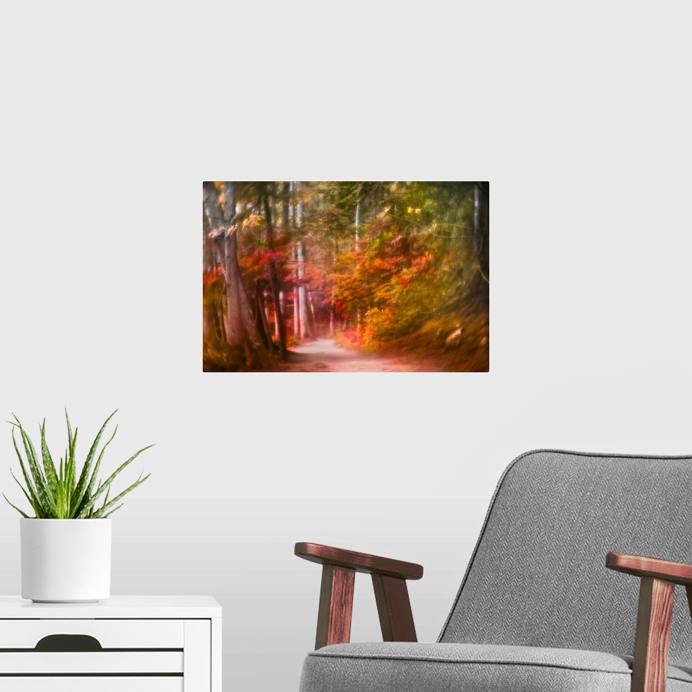 A modern room featuring A path leading into a magical forest with a colorful painterly feel.