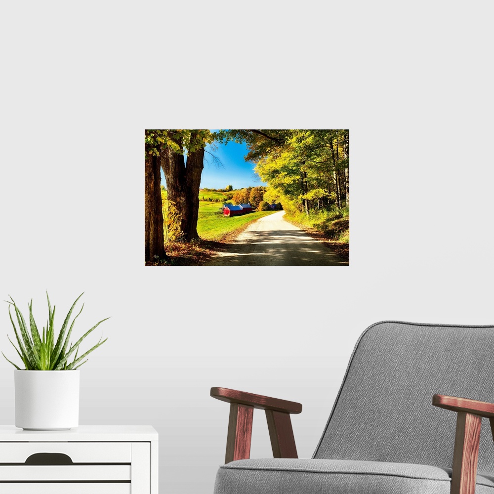 A modern room featuring Fine art photo of an old-fashioned barn in a field at the edge of a road in a forest in New England.