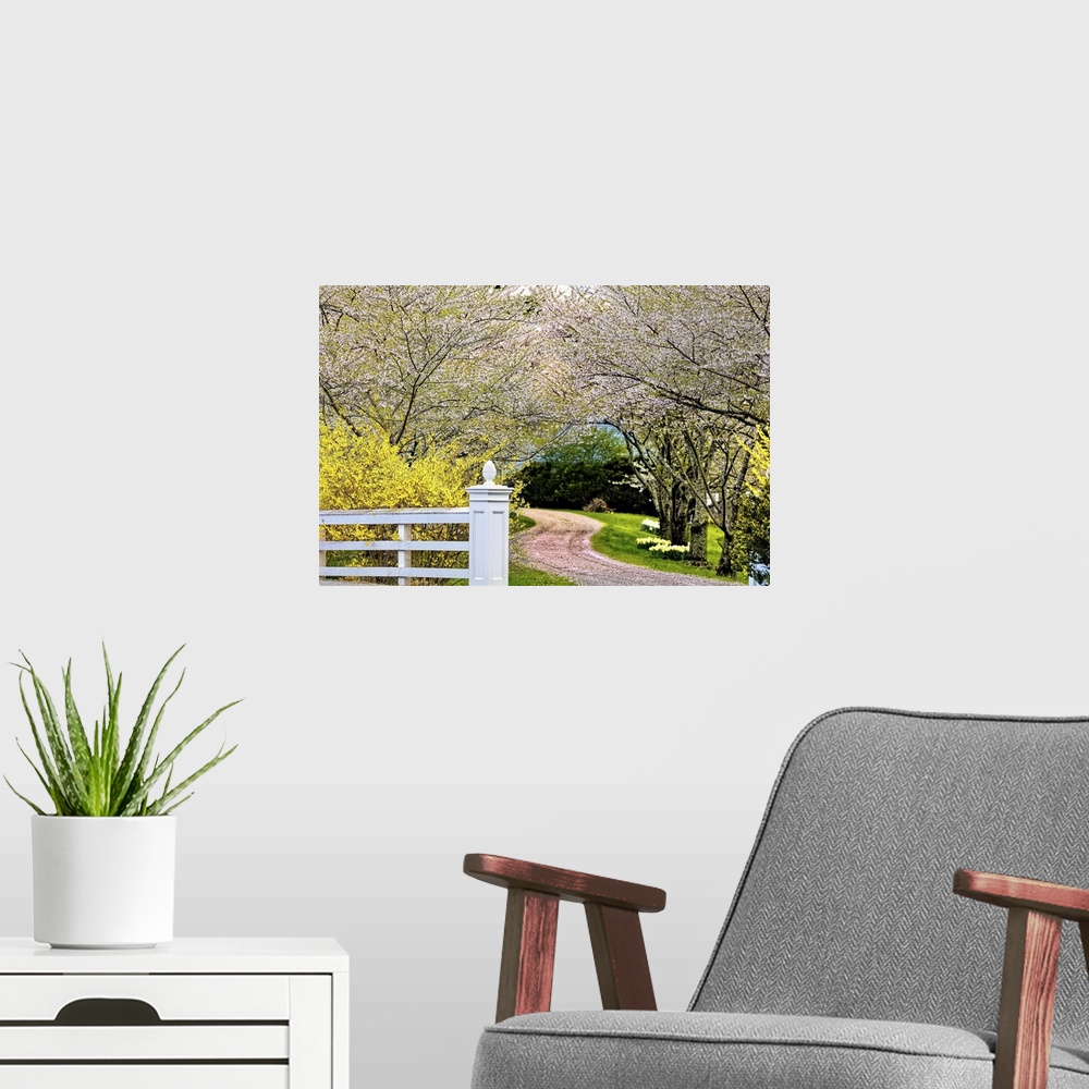 A modern room featuring Country Road Lined with Blooming Cherry Trees, Hunterdon County New Jersey.