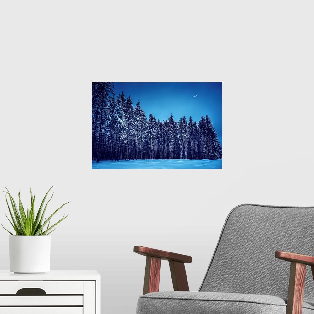 A modern room featuring Fir trees in a blue winter atmosphere