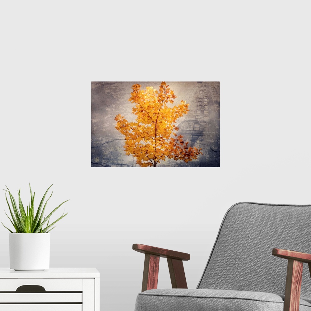 A modern room featuring Photographic composite with a beautifully lit Fall tree in the foreground and a tall building in ...