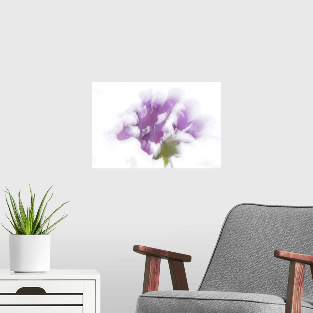 A modern room featuring Artistically blurred photo. Brushstrokes of light with the scent of a flower.