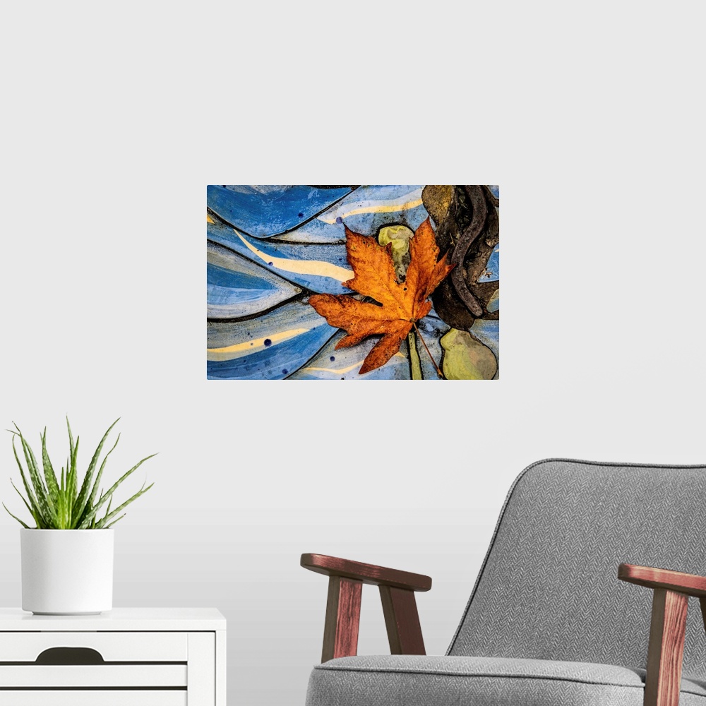 A modern room featuring Fine art photo of a fallen leaf on an abstract natural background.