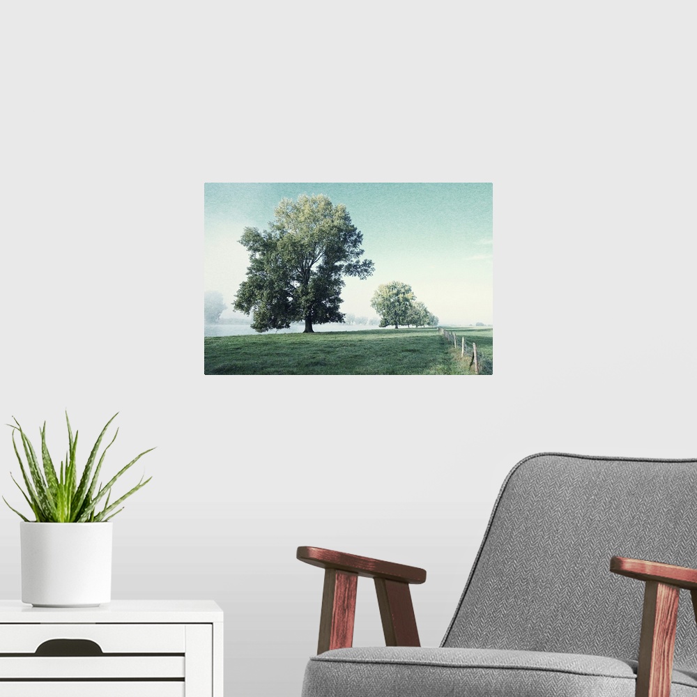 A modern room featuring Artistically grained photo. Early on a fresh morning on the banks of a river. The rising sun disp...