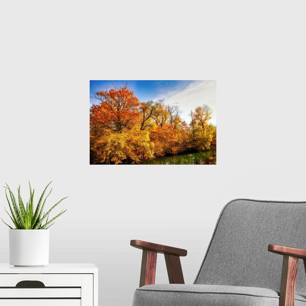 A modern room featuring Colorful trees in autumn along a pond