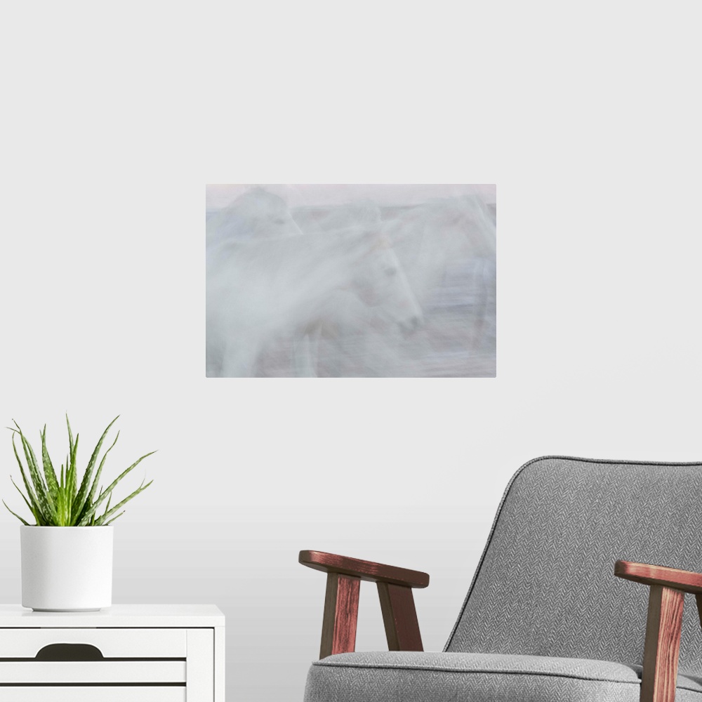A modern room featuring A soft impressionistic image in a dreamy blurred style of some running white horses.