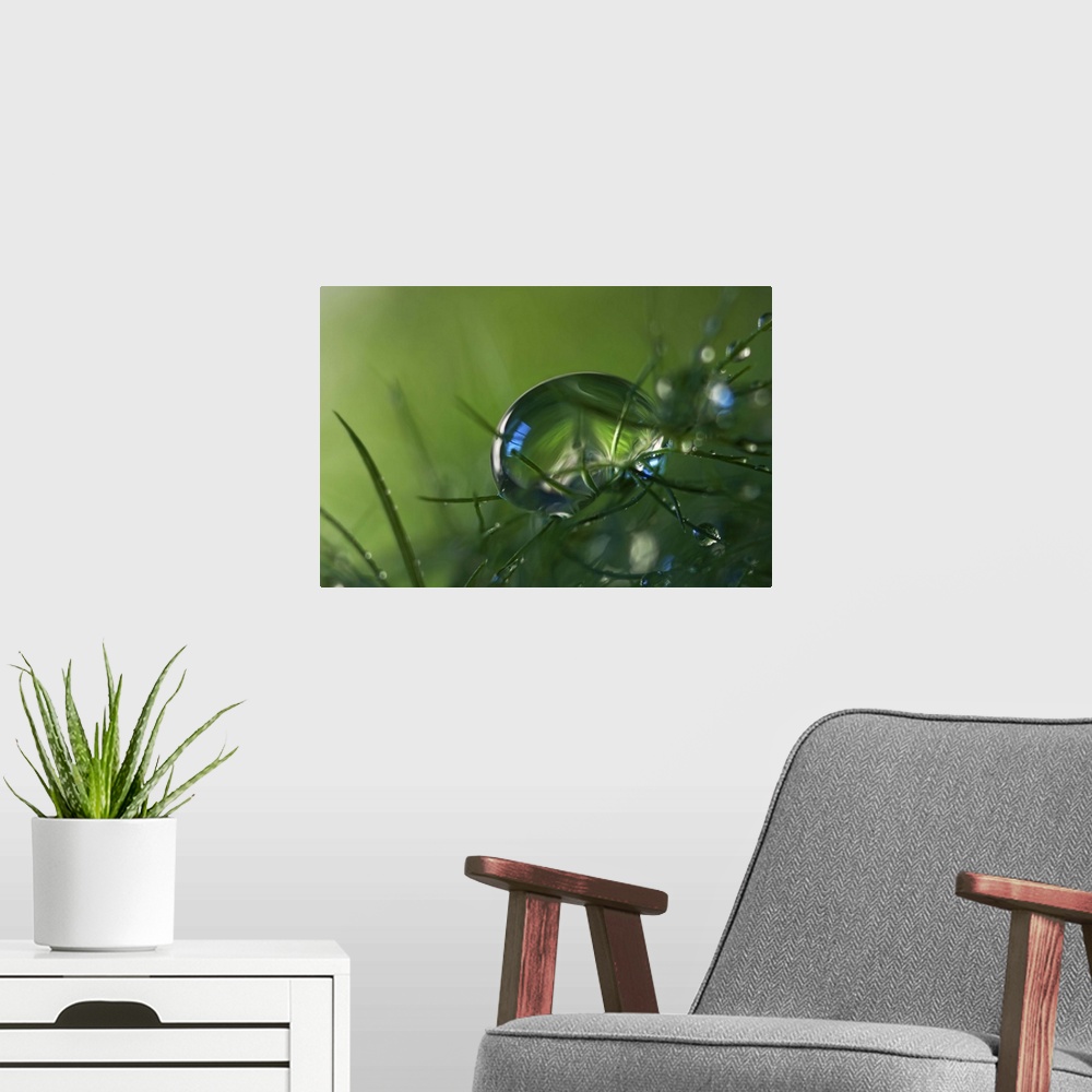 A modern room featuring A macro photograph of a water droplet sitting on a blades of grass.