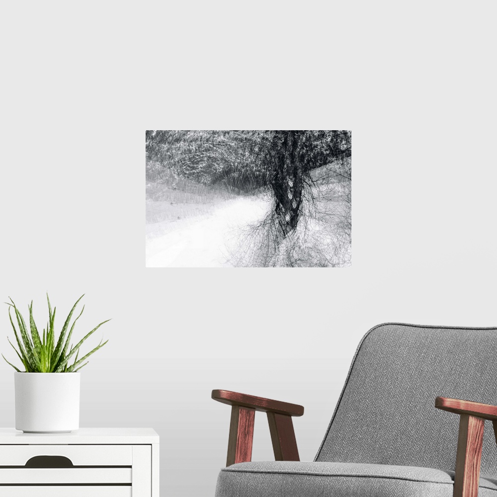 A modern room featuring An abstract photograph of a tree in black and white.