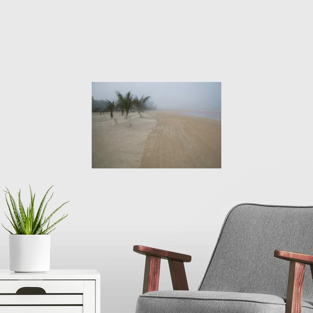A modern room featuring Multiple exposure photograph of palm trees on a sandy beach.