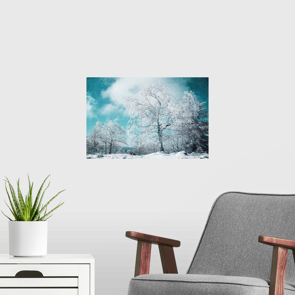 A modern room featuring Frozen trees against blue sky