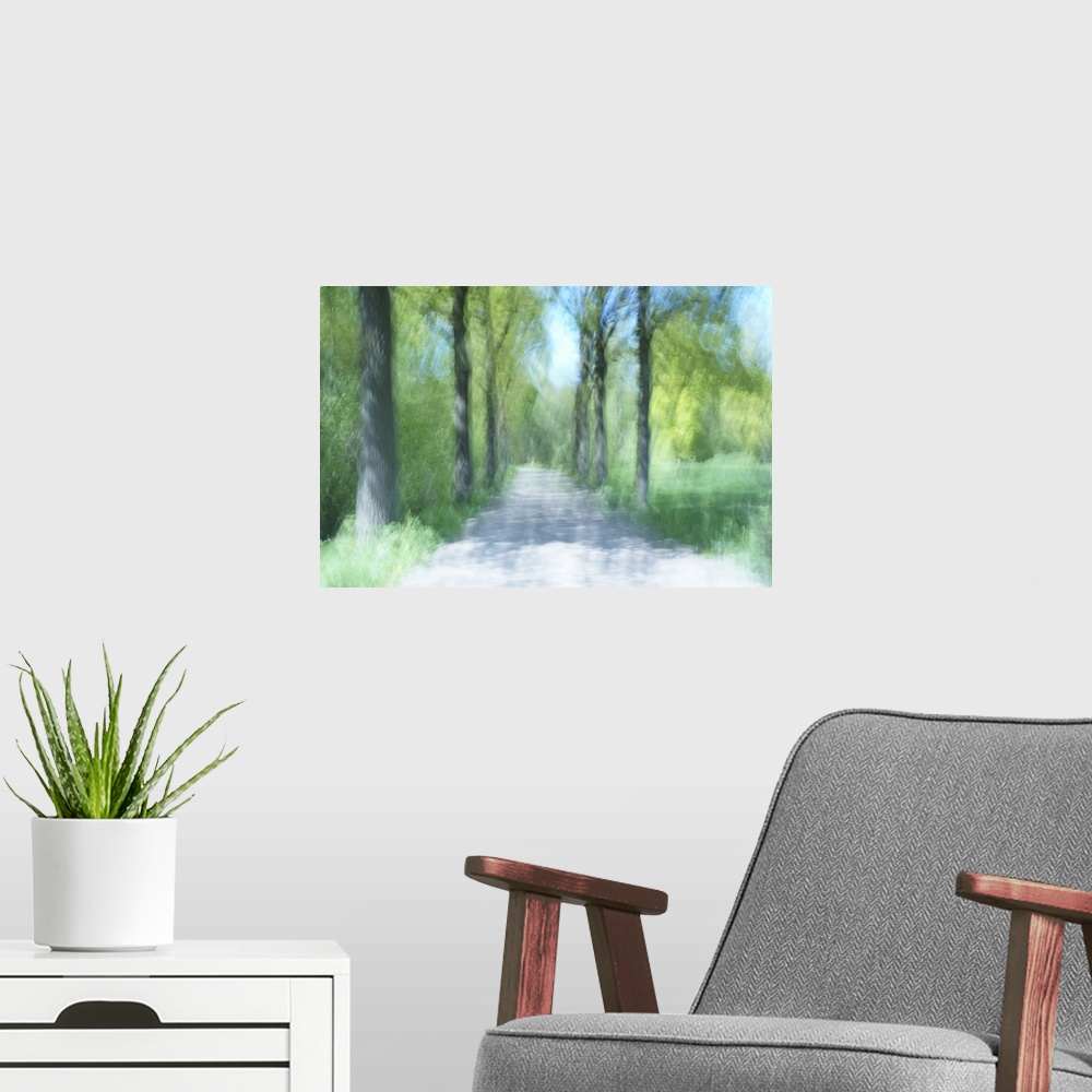 A modern room featuring A stroll in the shadow of the trees on a hot summer day.