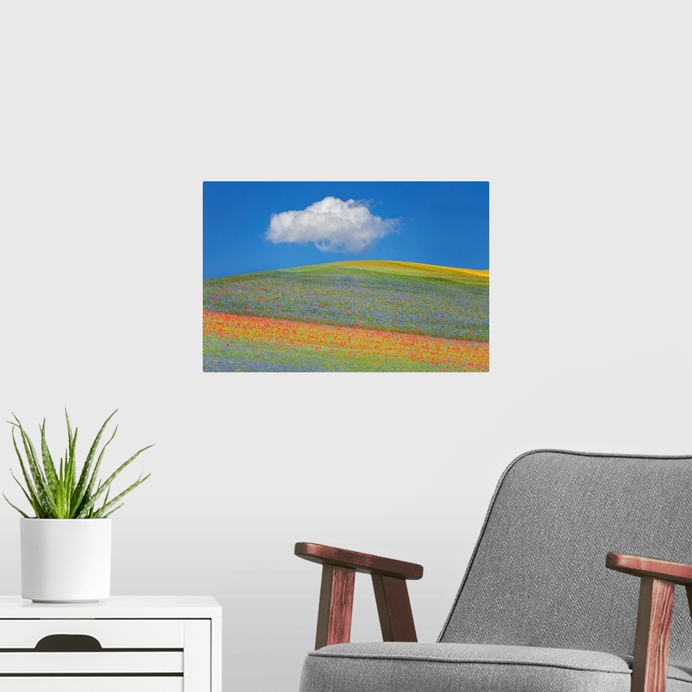 A modern room featuring A photograph of a countryside landscape with rolling hills.
