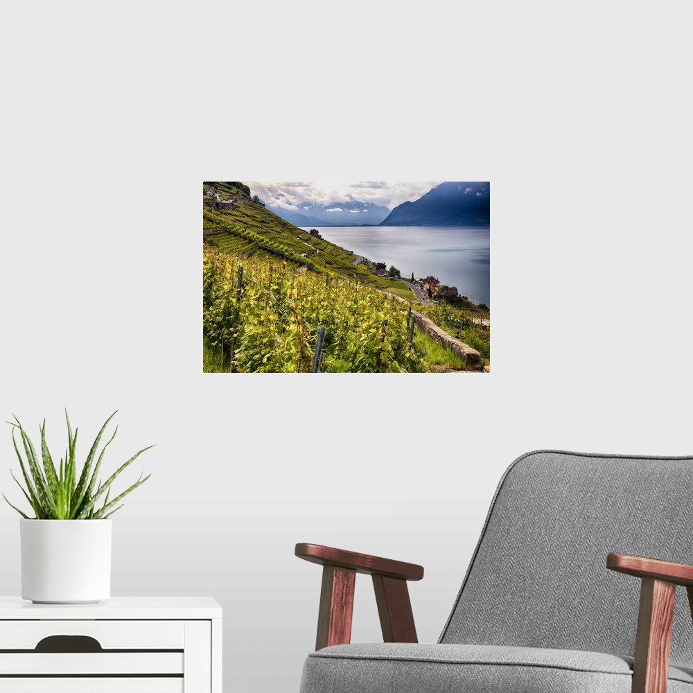A modern room featuring The Lavaux vineyards on the green hills surrounding Lac Leman in the Vaud canton of Switzerland.