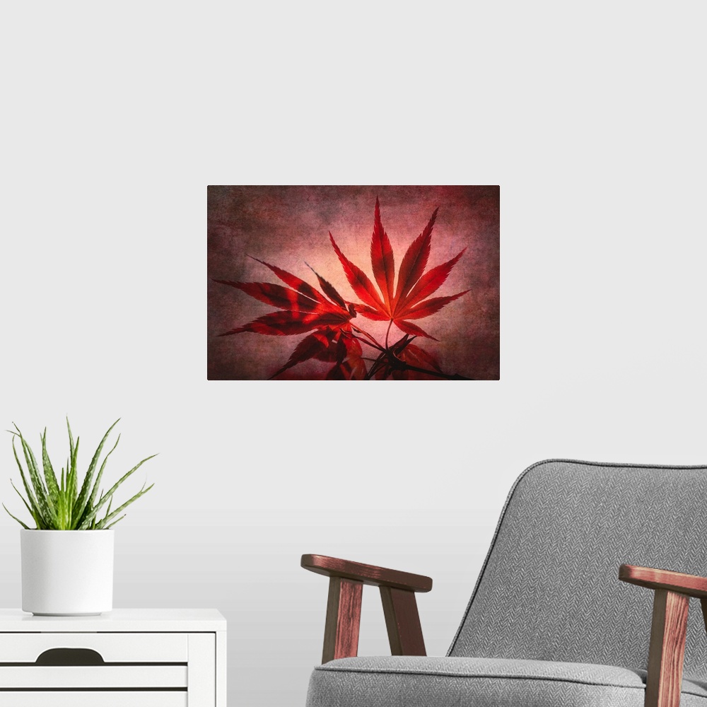 A modern room featuring Red maple leaves with photo texture added