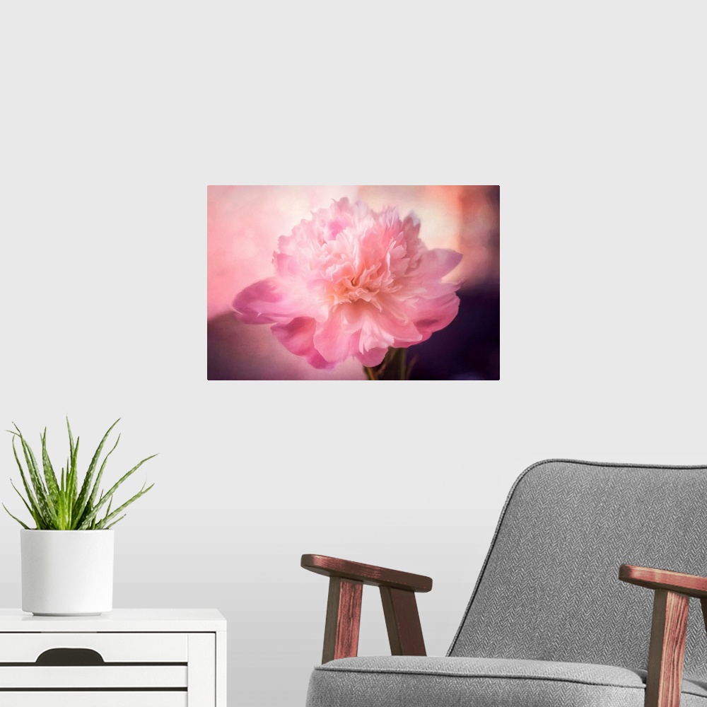 A modern room featuring Pink peony with photo texture